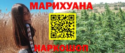 крисы Будённовск
