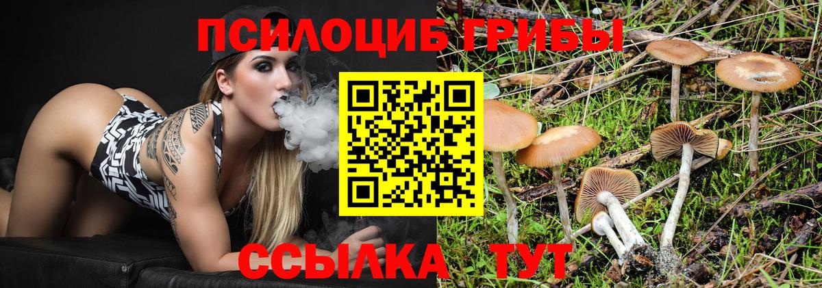 Электросталь  Псилоцибиновые грибы Psilocybine cubensis  Вход с VPN 