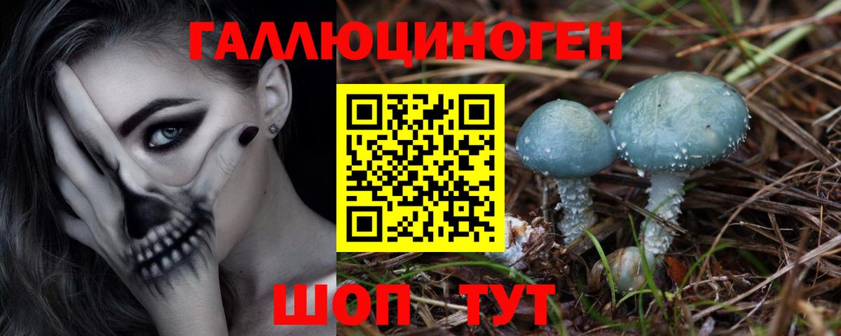 Галлюциногенные грибы GOLDEN TEACHER Электросталь
